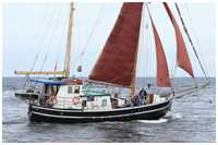 Hanse Sail 2017